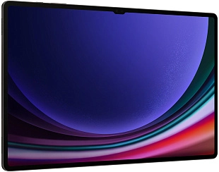 Samsung Galaxy Tab S9 Ultra Wi-Fi 12/512GB (серый) фото 1