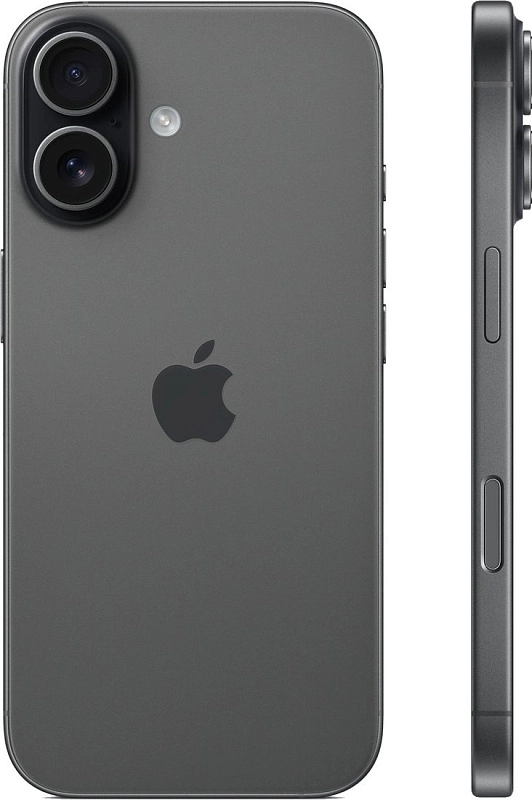 Apple iPhone 17 256GB (черный) фото 2