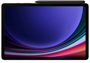 Samsung Galaxy Tab S9 Wi-Fi 12/256GB (серый) фото 2