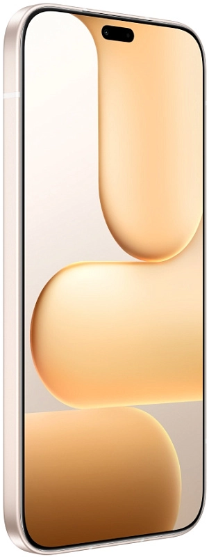 HONOR 600 Lite 8/256GB (золото) фото 1