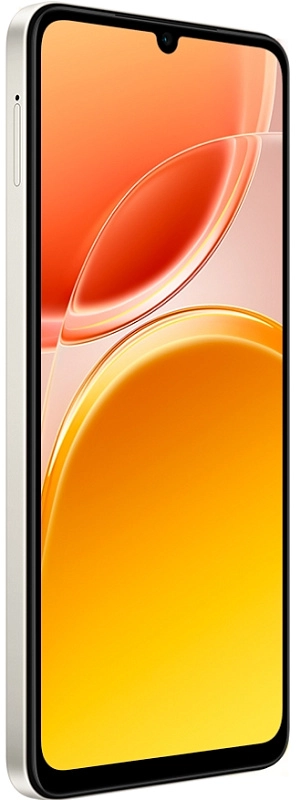 Vivo Y11d 4/256GB (платина) фото 1