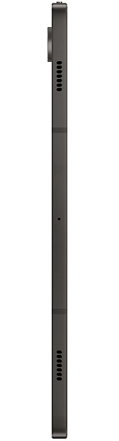 Samsung Galaxy Tab S9 Wi-Fi 12/256GB (серый) фото 5