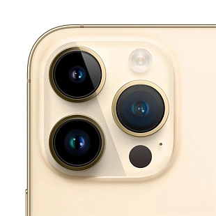 Apple iPhone 14 Pro Max 256GB (A2896, 2 SIM) (золото) фото 2