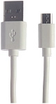 Bingo B2-U2 2.1A с кабелем microUSB (белый) фото 3 Bingo B2-U2 2.1A с кабелем microUSB (белый) фото 3
