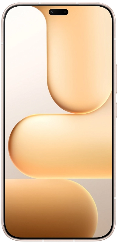 HONOR 600 Lite 8/256GB (золото) фото 2