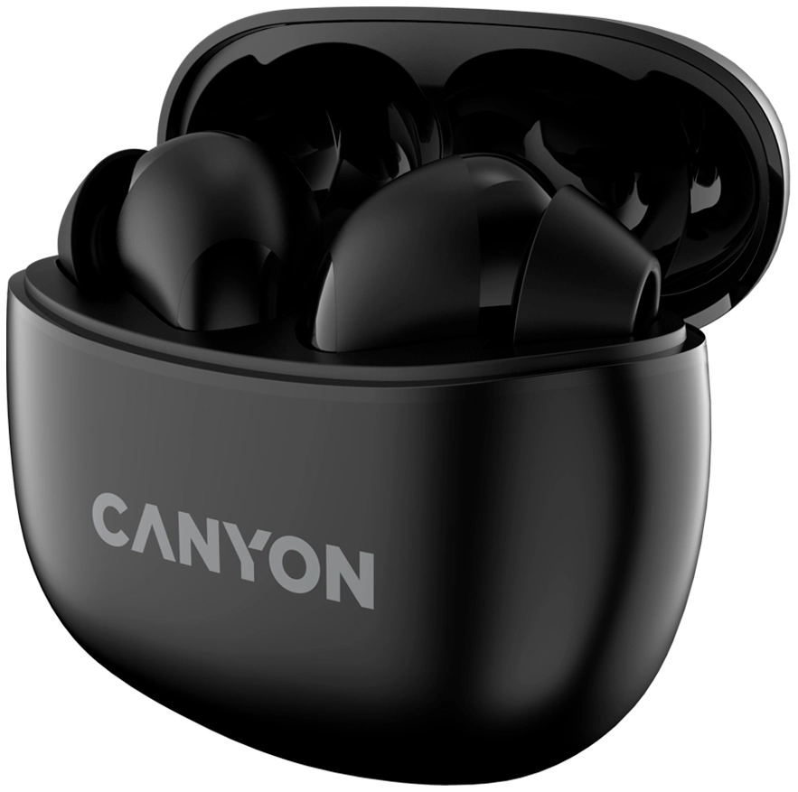 Canyon CNS-TWS-5 (черный)