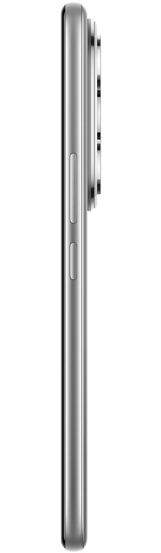 HONOR 400 Pro 12/512GB (титановый серый) фото 4