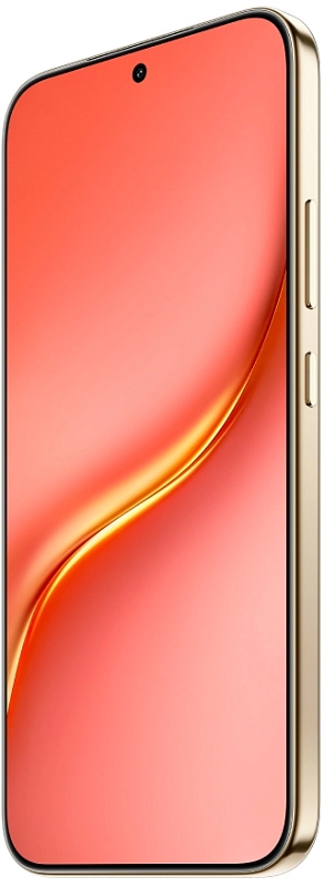 HONOR X9e Pro 5G 8/256GB (терракотовый) фото 3