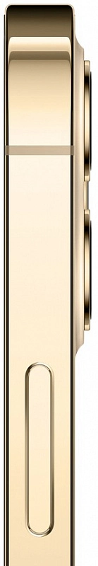 Apple iPhone 12 Pro Max 128GB (золото) фото 4