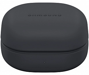 Samsung Galaxy Buds 2 Pro (графит) фото 1