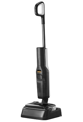 Roborock Wet and Dry Vacuum Cleaner F25 (черный)