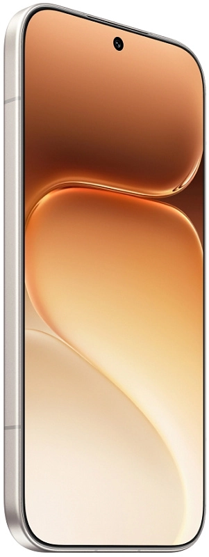 HONOR 600 Pro 12/256GB (бежевый) фото 1