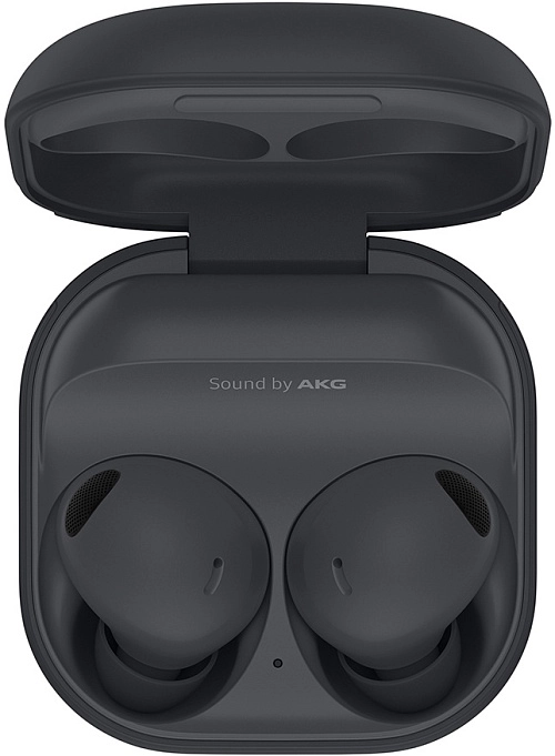 Samsung Galaxy Buds 2 Pro (графит) Samsung Galaxy Buds 2 Pro (графит)