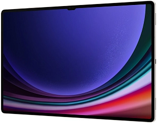 Samsung Galaxy Tab S9 Ultra 5G 12/512GB (бежевый) фото 3