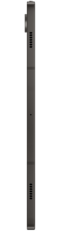 Samsung Galaxy Tab S9 5G 12/256GB (серый) фото 5