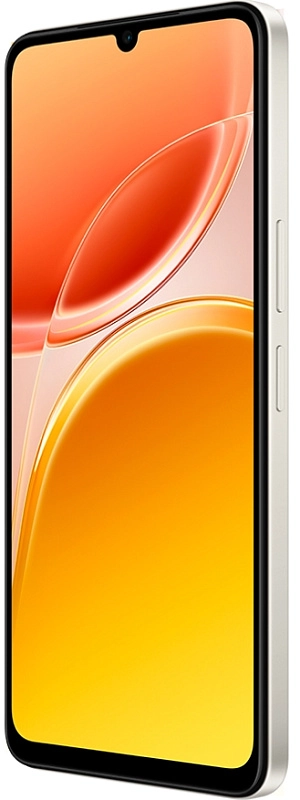 Vivo Y11d 4/256GB (платина) фото 3