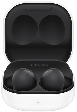 Наушники Samsung Galaxy Buds 2 SM-R177 (черный)