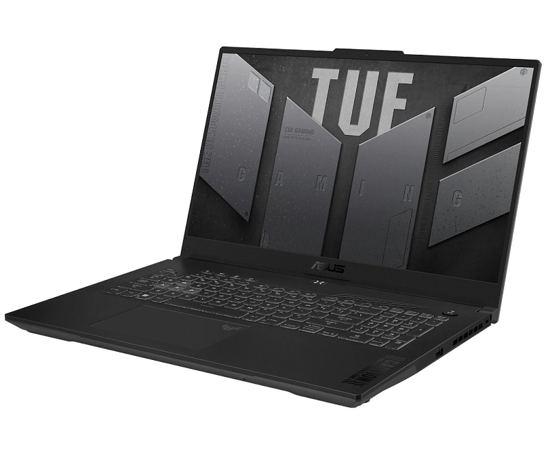 ASUS TUF Gaming F17 Win11Pro 16/1024GB (FX707VUR-HX211, серый) фото 1
