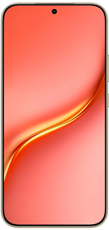 HONOR X9e Pro 5G 8/512GB (терракотовый) фото 2