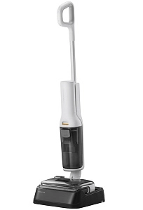 Roborock Wet and Dry Vacuum Cleaner F25 RT (белый)