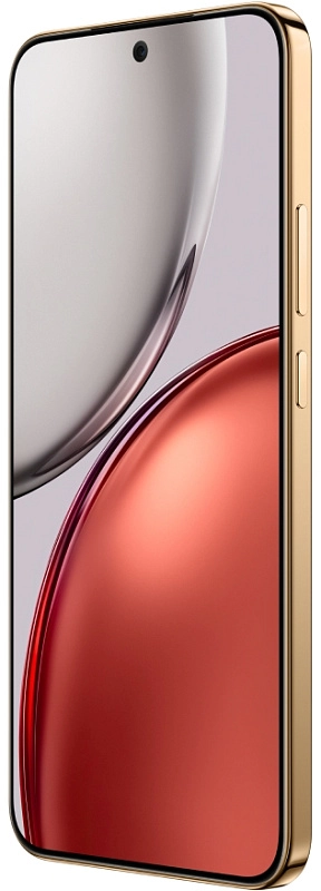 HONOR X9d 8/256GB (терракотовый) фото 3