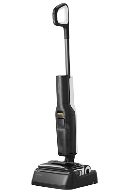 Roborock Wet and Dry Vacuum Cleaner F25 ALT (черный)