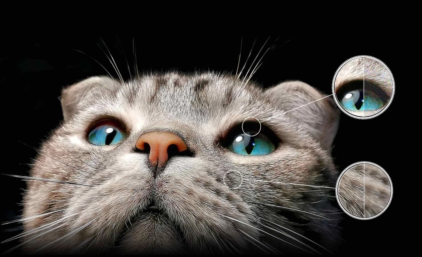 Преимущества iFFalcon U65