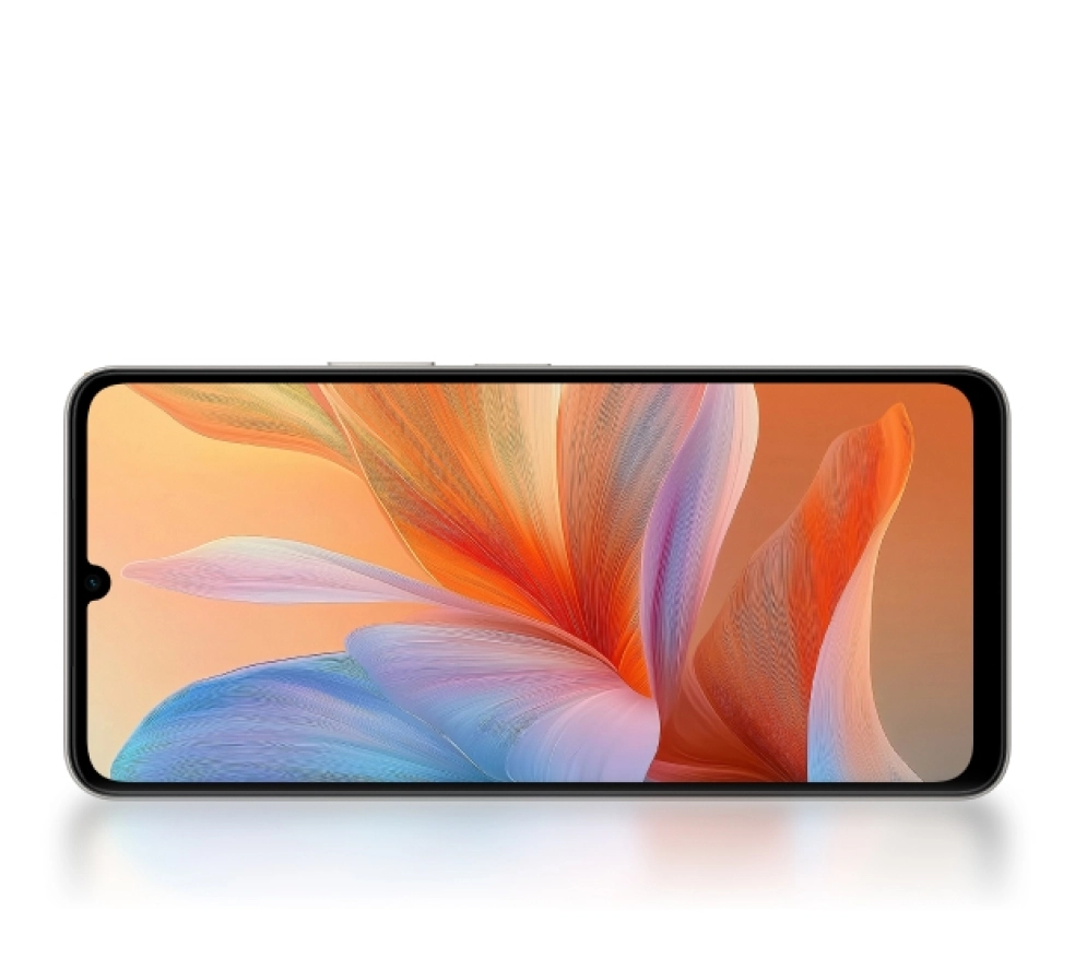 Vivo Y11d экран